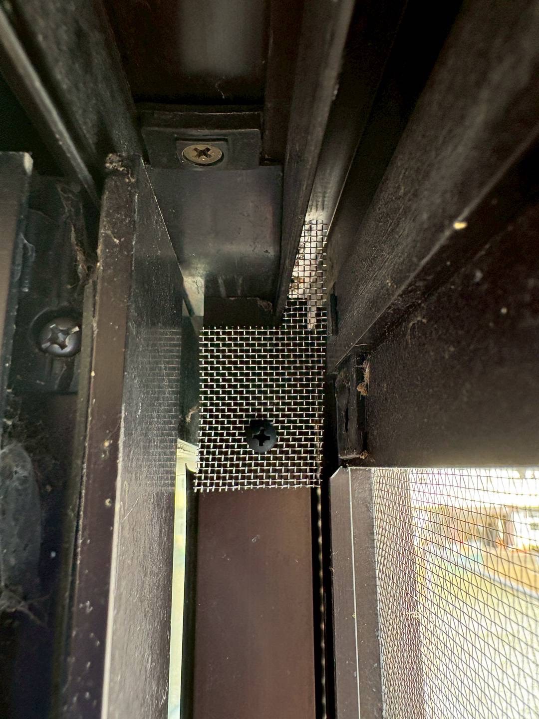 2026/02/03 地元にてコウモリ対策！アルミサッシの隙間から侵入するコウモリ！