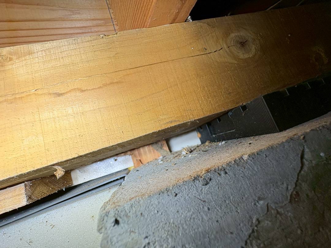 2026/02/18 地元にてコウモリ調査！考えられるポイントと言えば、あそこしか無い！