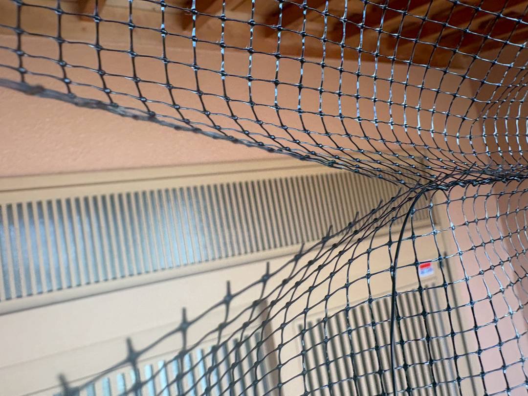 2026/03/17 飯田市にてコウモリ対応！ネットバリア施工に踏ん張り！