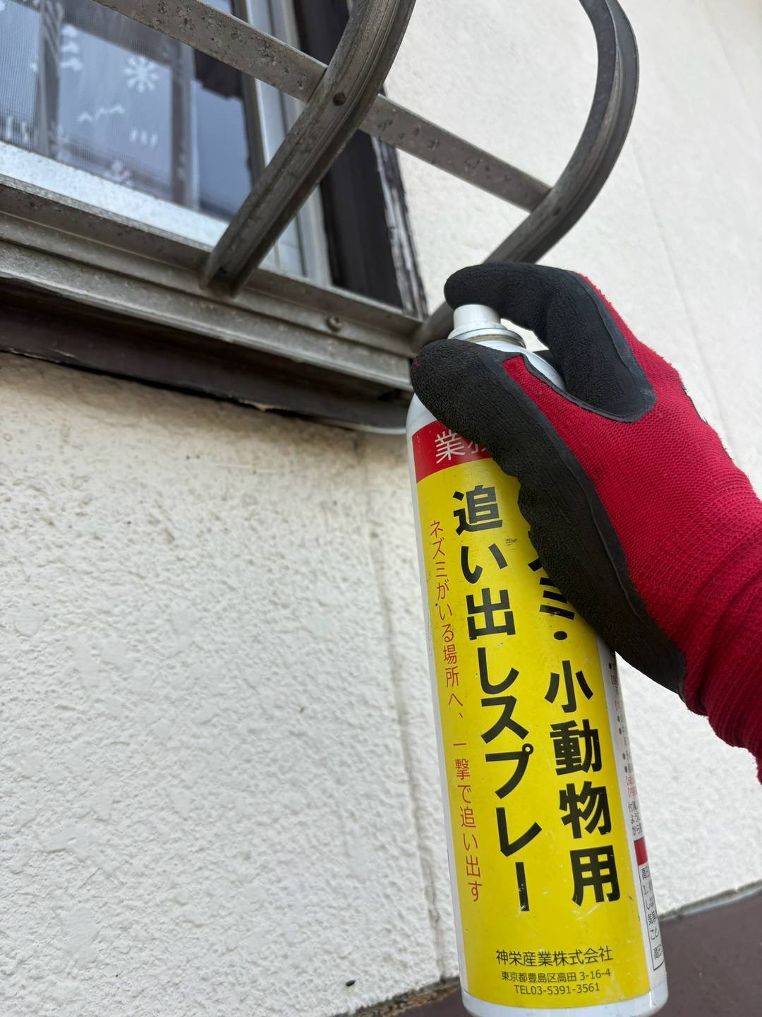 2026/07/17 地元にてコウモリ対策や色々！追い出し用のスプレー使用してみたが！