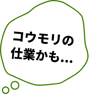 コウモリの仕業かも...?