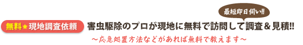 無料 現地調査依頼