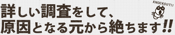 詳しい調査をして、原因となる元から絶ちます!!