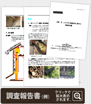 調査報告書（例）クリックで拡大表示されます。