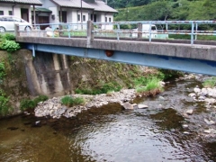 橋の下スズメバチ