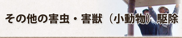 その他の害虫・害獣（小動物）駆除