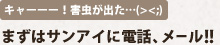 キャーーー！害虫が出た…(><;)　まずはサンアイに電話、メール!!