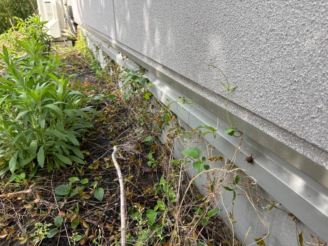 2026/04/21 地元にてムカデ対策！ムカデがいよいよ活発に動き出す！